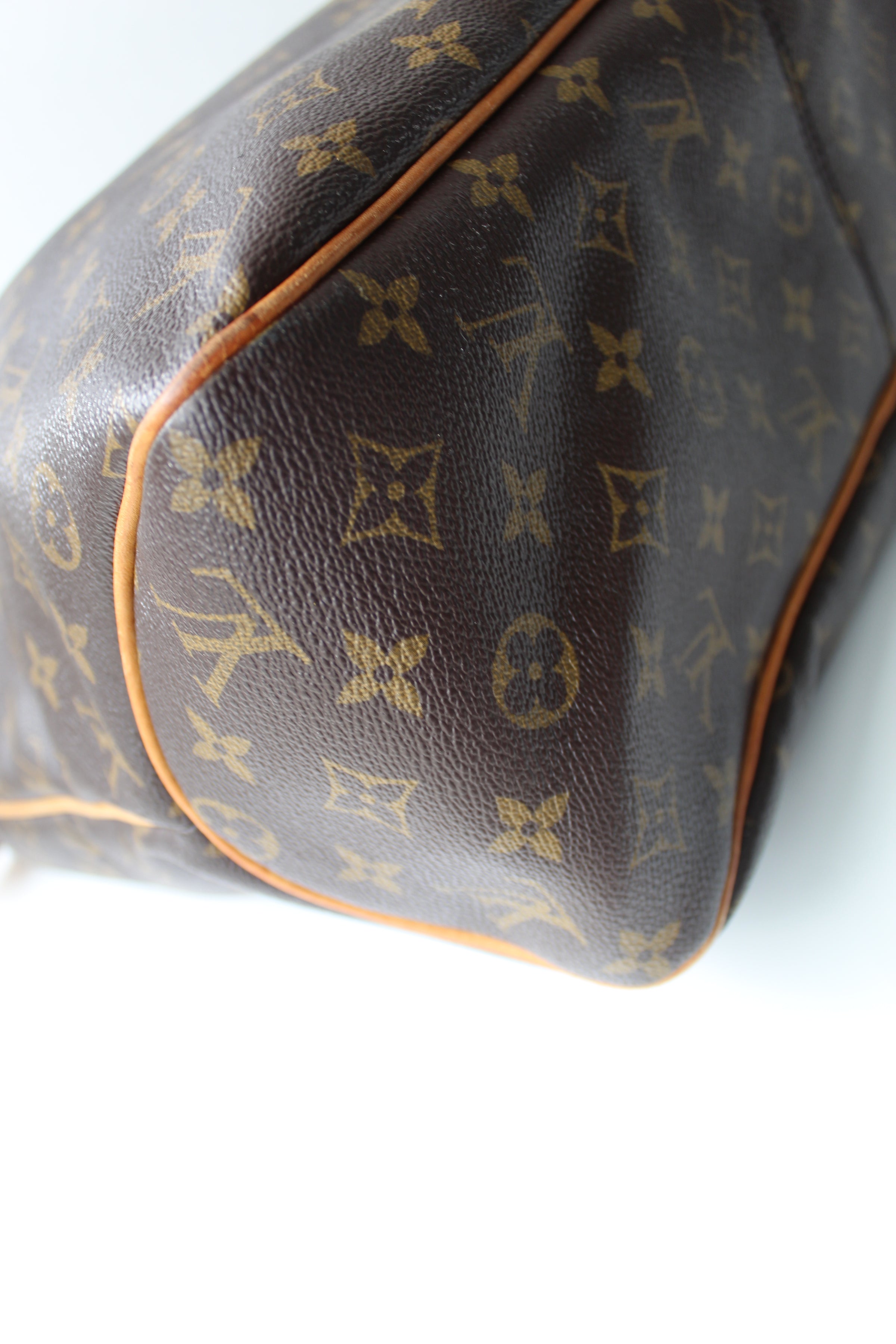 Louis Vuitton Delightful MM Beige Cloth ref.181600 - Joli Closet