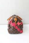 Louis Vuitton Speedy 30 (Limted Edition)