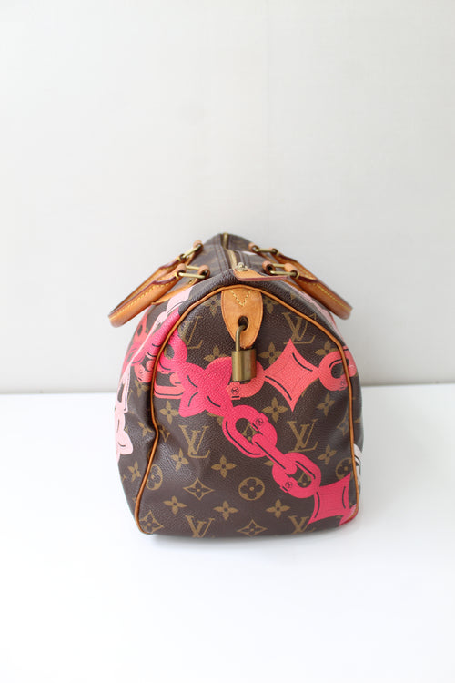 Louis Vuitton Speedy 30 (Limted Edition)