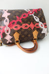 Louis Vuitton Speedy 30 (Limted Edition)