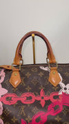 Louis Vuitton Speedy 30 (Limted Edition)