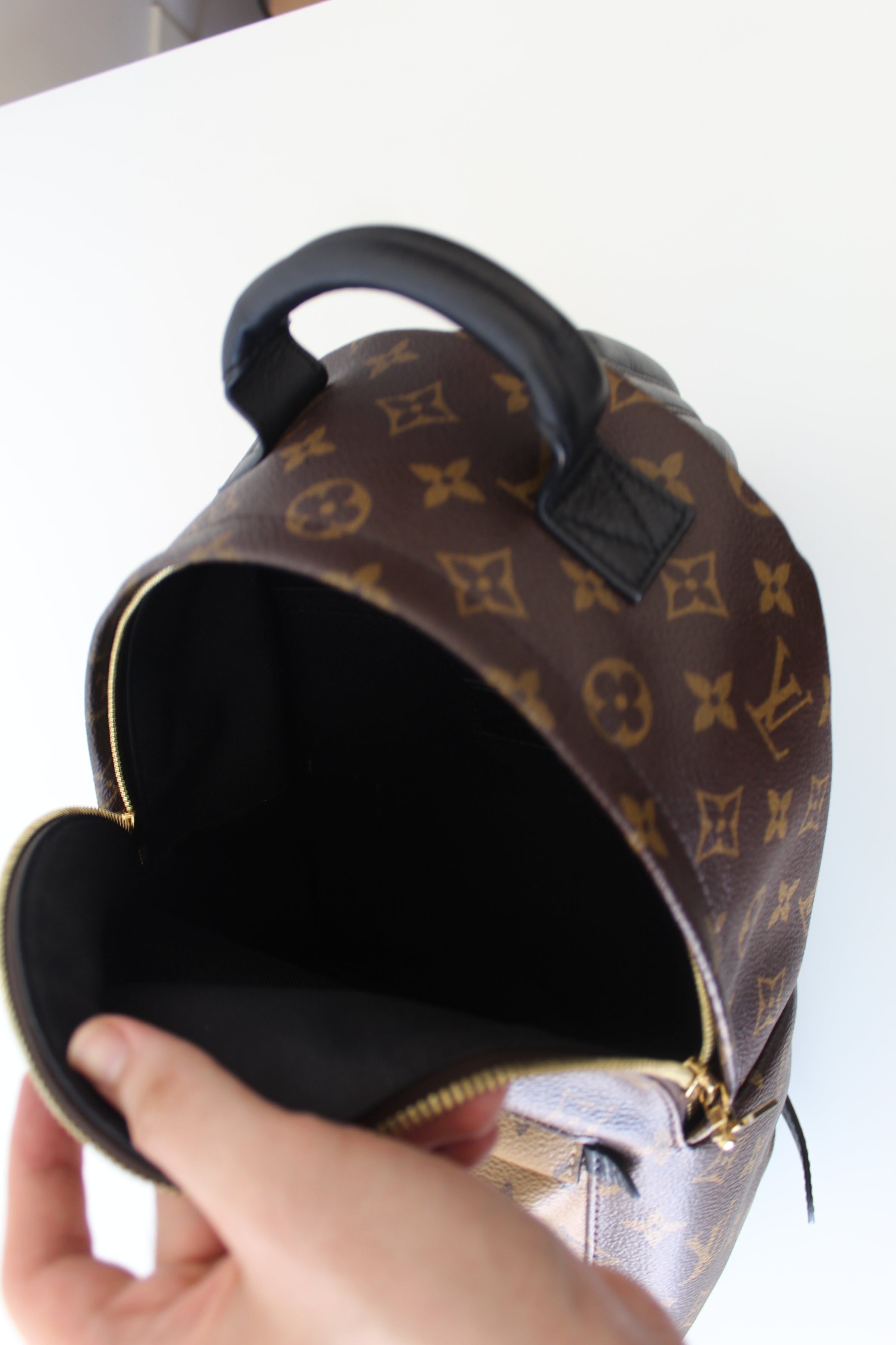 lining of louis vuitton palm springs mini backpack Louis Vuitton Palm Springs PM – Closet Connection Resale