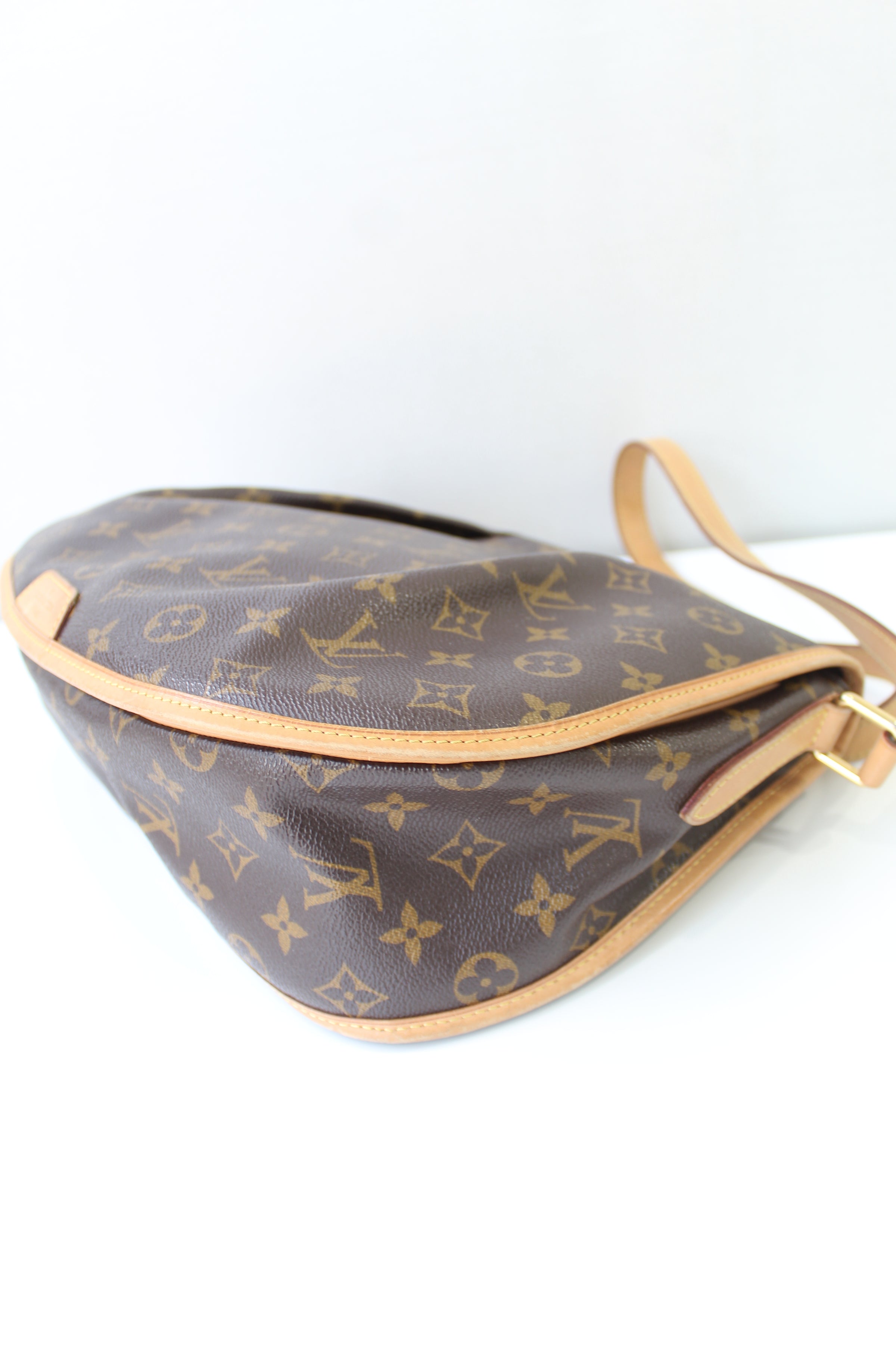 Louis Vuitton Monogram Menilmontant MM Bag – The Closet